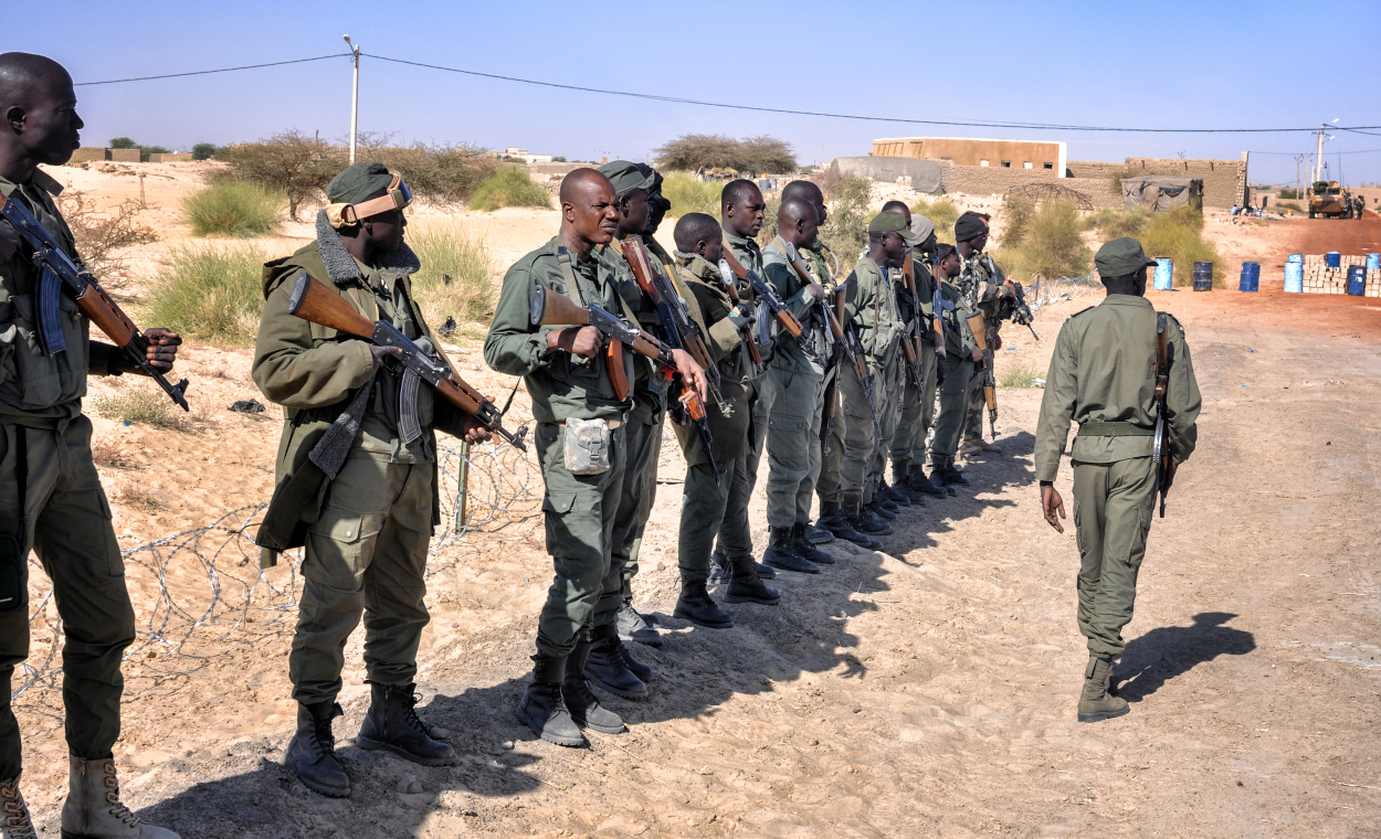 Rebels in Mali