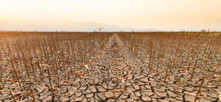 A new El Niño event is now firmly established and is expected to strengthen significantly in the coming months.