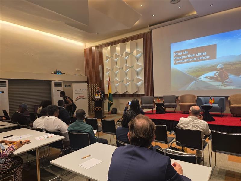 economic mission Guinea