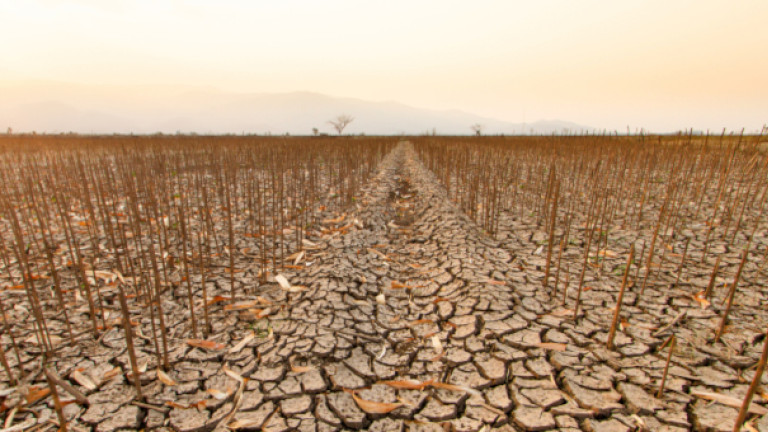 A new El Niño event is now firmly established and is expected to strengthen significantly in the coming months.